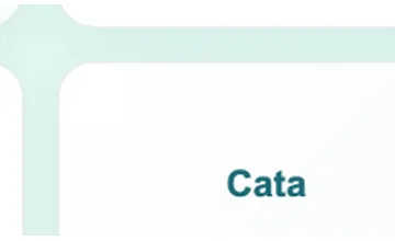 Cata gas appliance service support