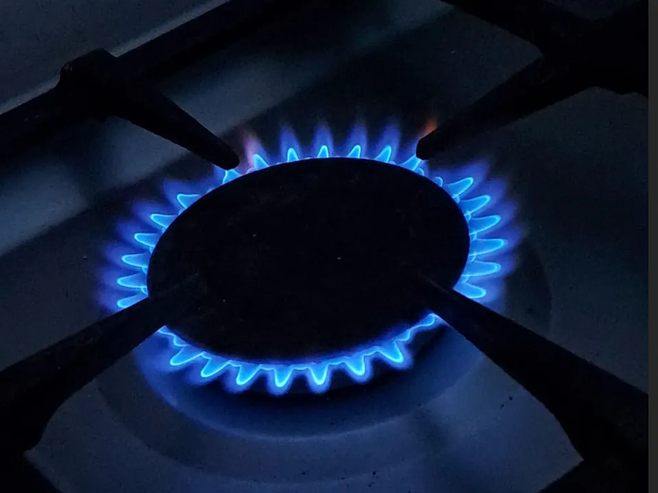 Burner flame inspection in Bengaluru